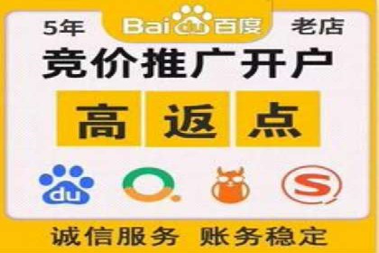 百度竞价广告投放数据分析